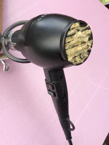 Dust and debris in the dryer filter will damage your hair