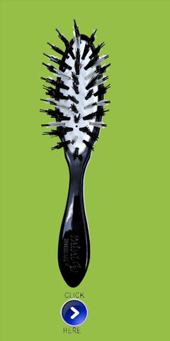 Small purse size travel Brush